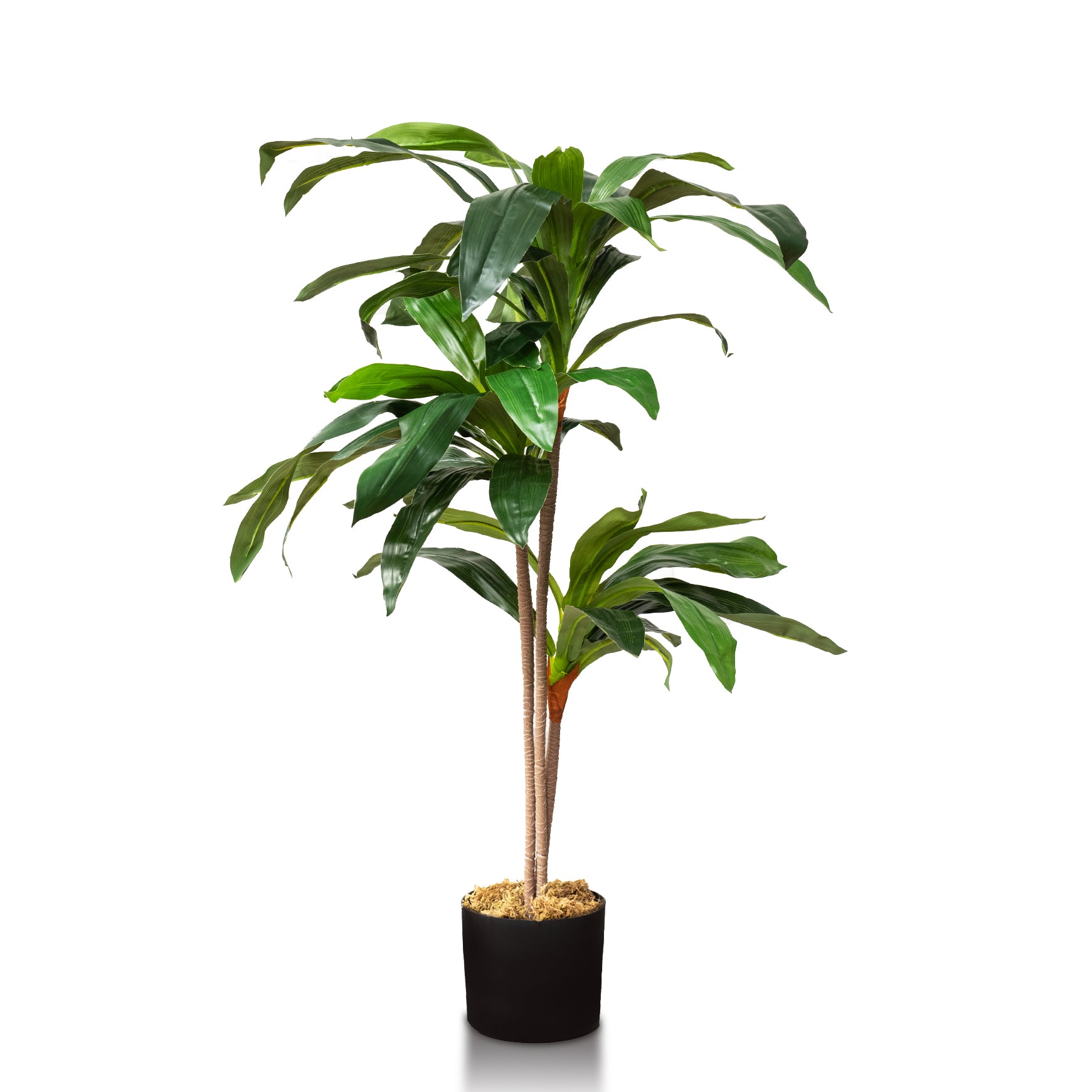 fake dracaena plant Faux Plant Decor - Dracaena Indoor Plant 4 feet