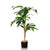 Faux Dracaena Indoor Plant 4 Feet
