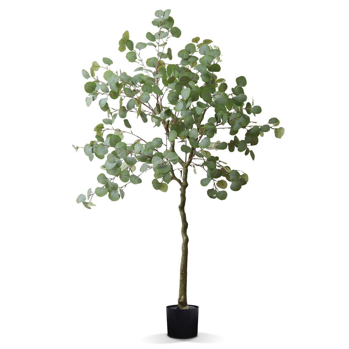 Faux Eucalyptus Tree 5.5 Feet