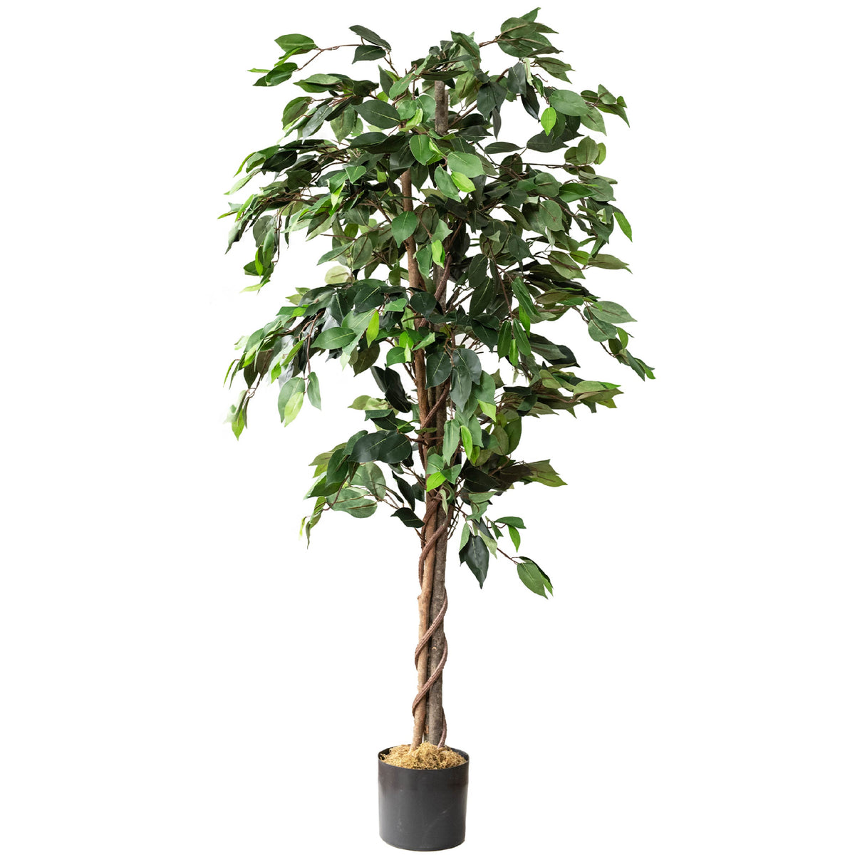 Artificial Ficus Silk Tree 5 Feet