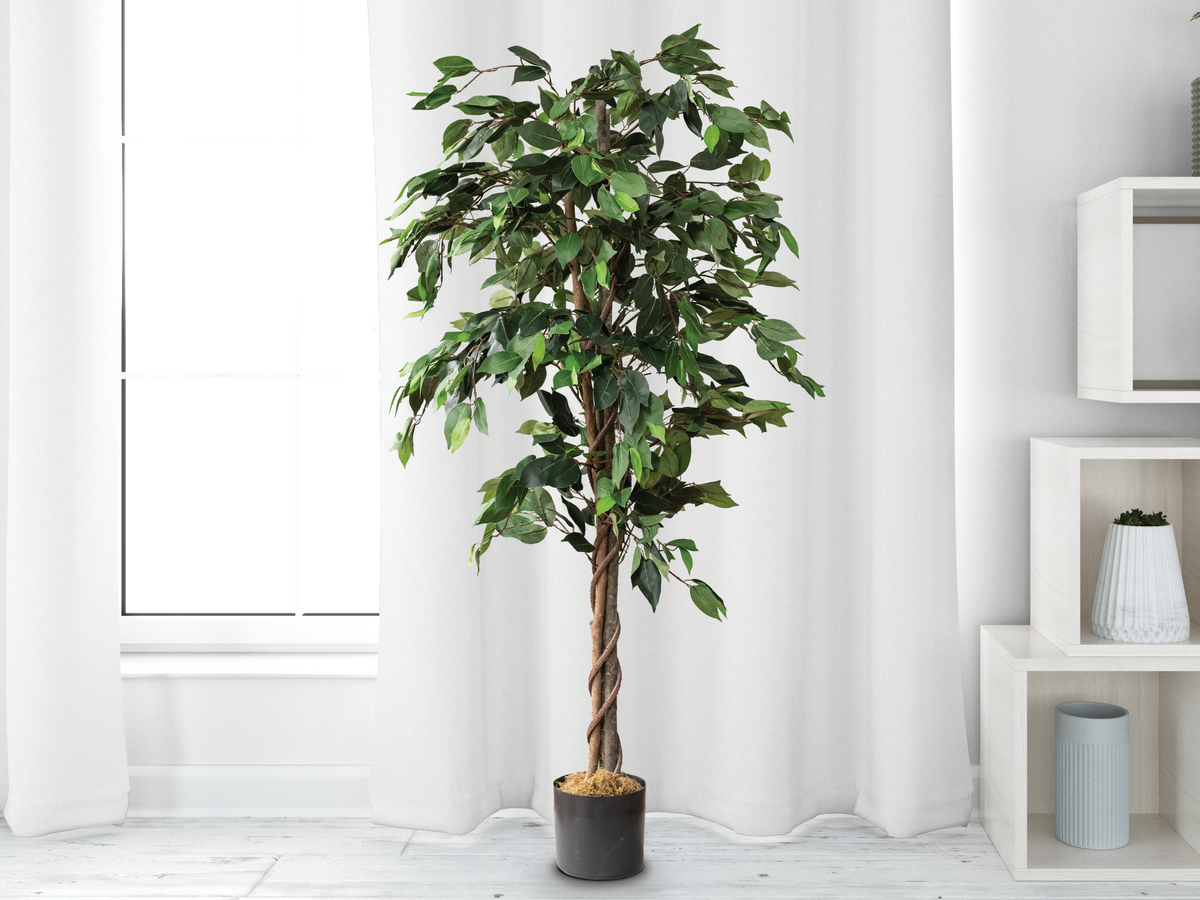 Artificial Ficus Silk Tree 5 Feet