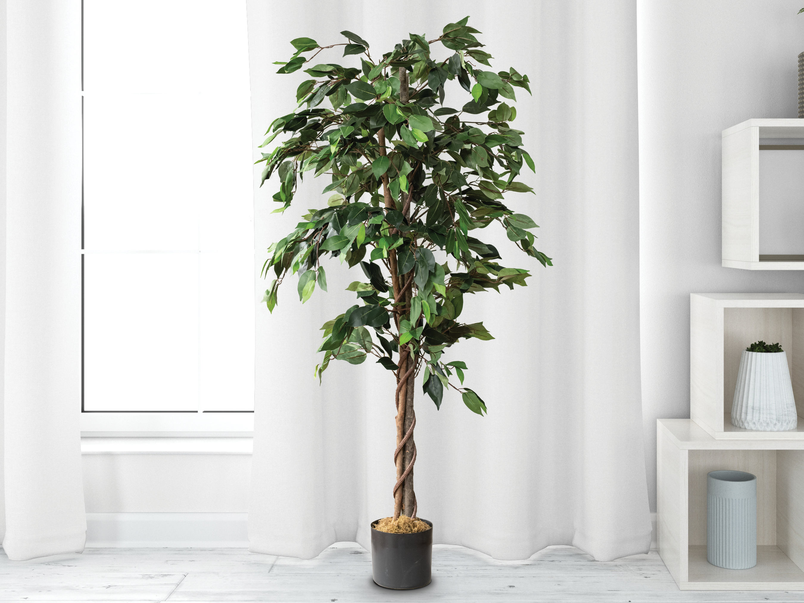 Ficus Silk Tree 5 Feet - Artificial Trees for Home Décor - Forever Leaf