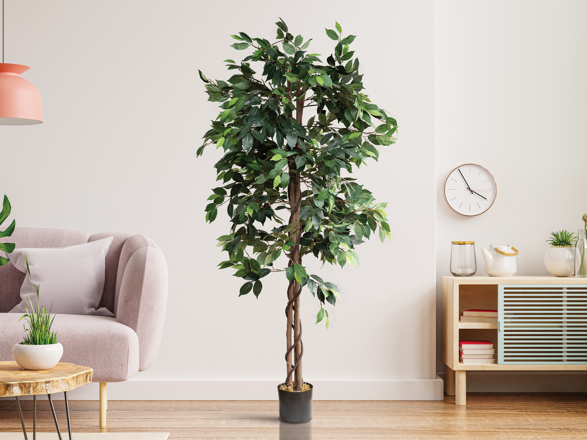 Artificial Ficus Silk Tree 6 Feet
