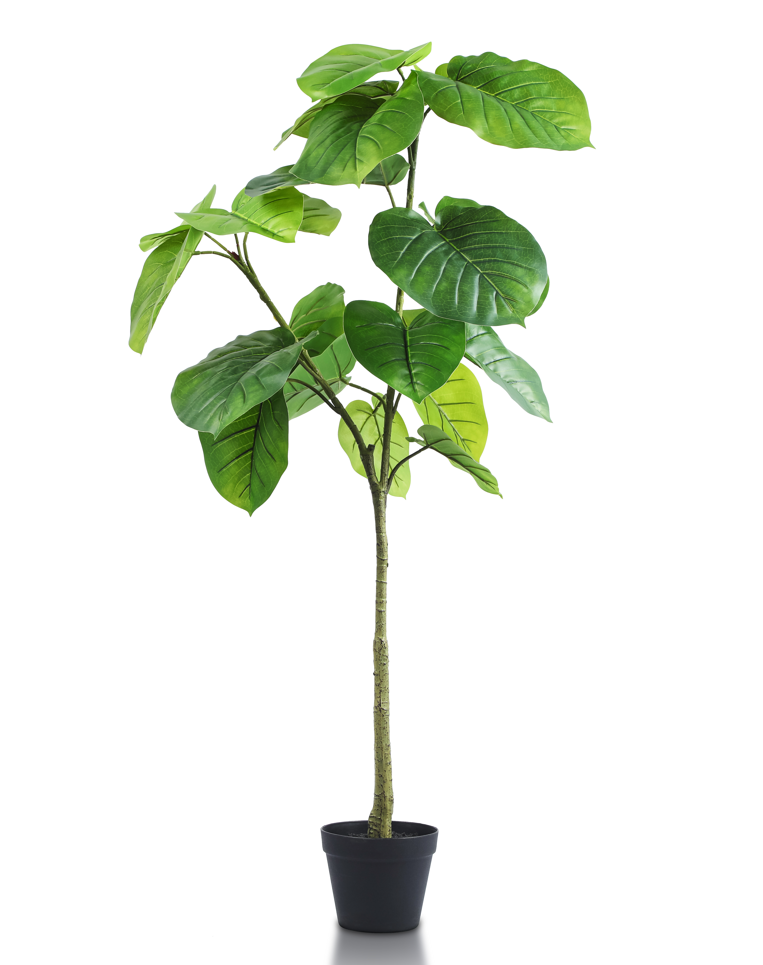 Artificial Ficus Tree in Black Planter - 4 Feet