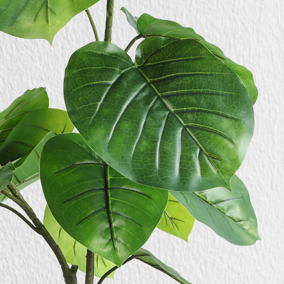 Artificial Ficus Tree in Black Planter - 4 Feet