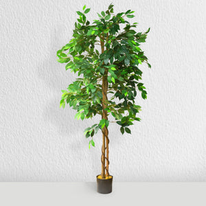 Artificial Ficus Silk Tree 5 Feet
