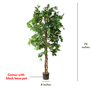 Artificial Ficus Silk Tree 6 Feet