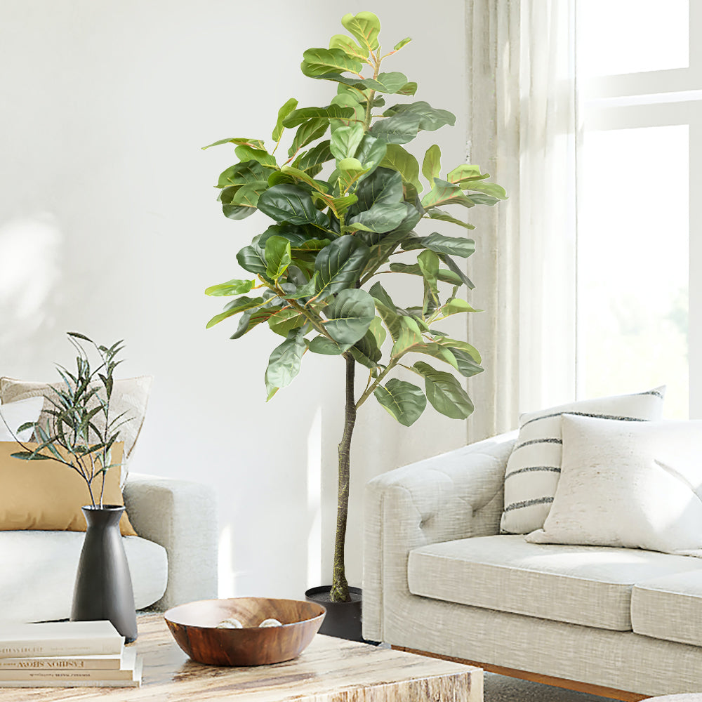 buy live fiddle leaf fig tree Faux Fiddle Leaf Fig Tree 5 feet