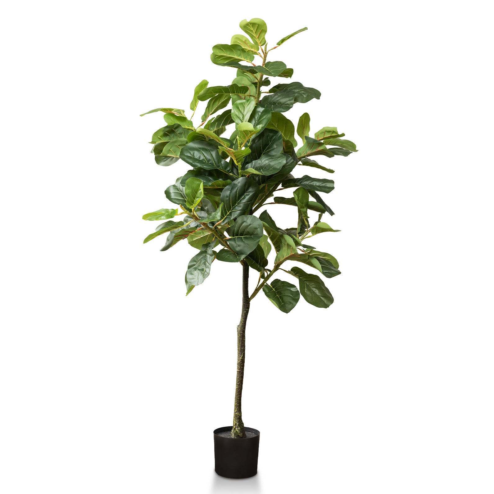 5 foot fiddle leaf fig tree real Faux Fiddle Leaf Fig Tree 5 feet