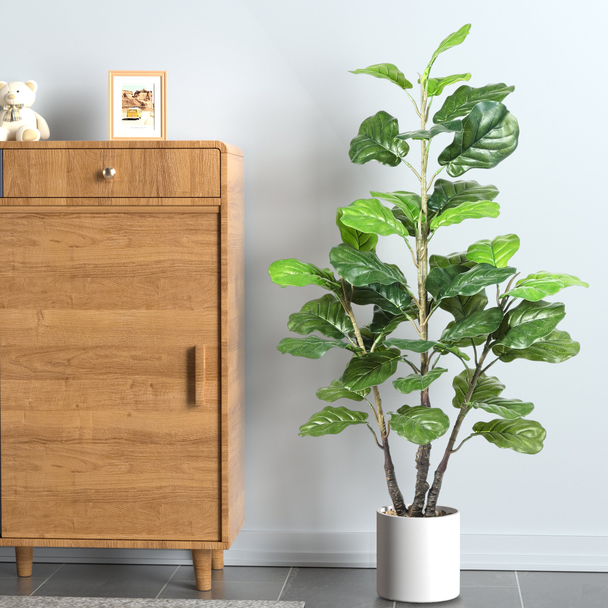fiddle leaf fig in ceramic pot Fiddle Leaf with Ceramic Pot 5 feet