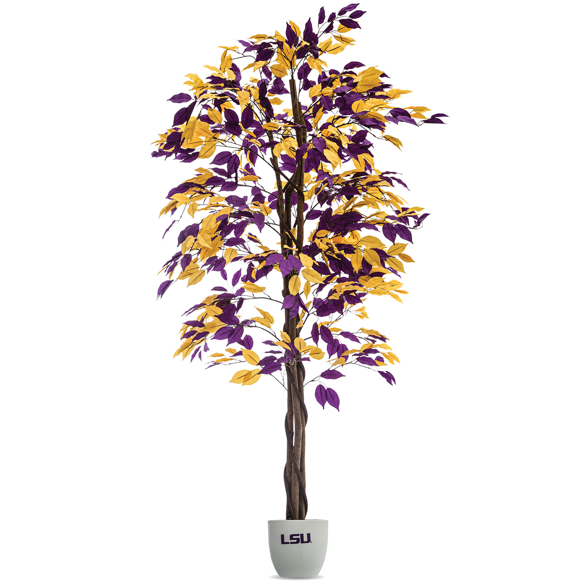 LSU Tigers Ficus Tree 6 Feet