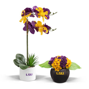 LSU Fan Favorite (hydrangea+orchid)