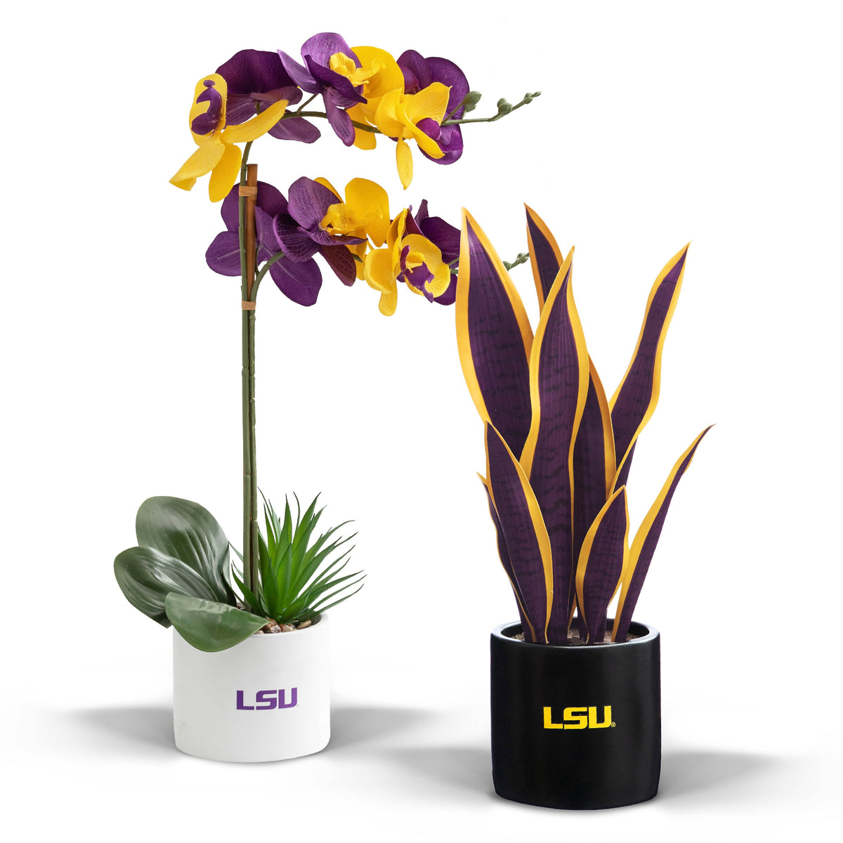 LSU Fan Favorite (snake+orchid)