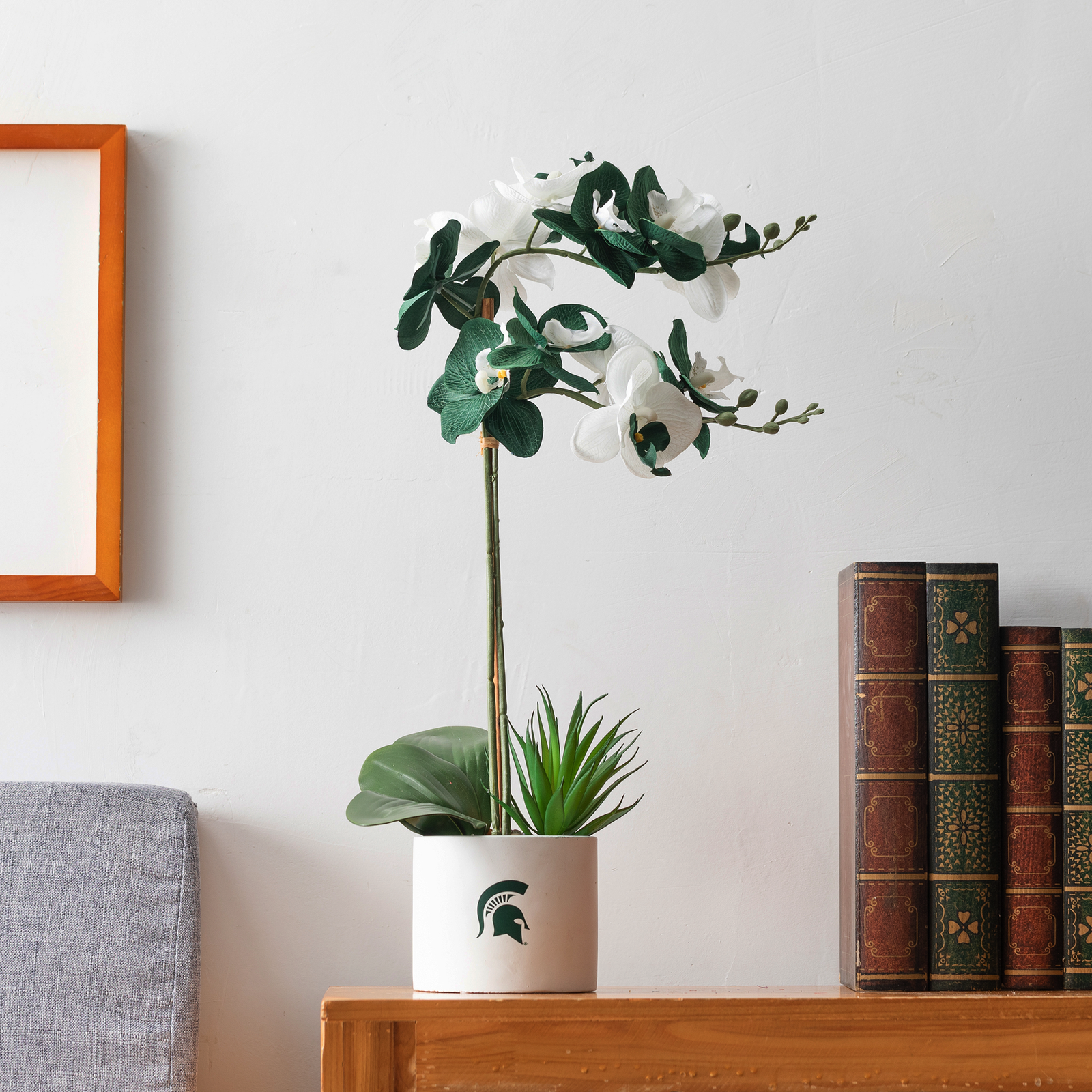 MSU Fan Favorite (hydrangea+orchid)