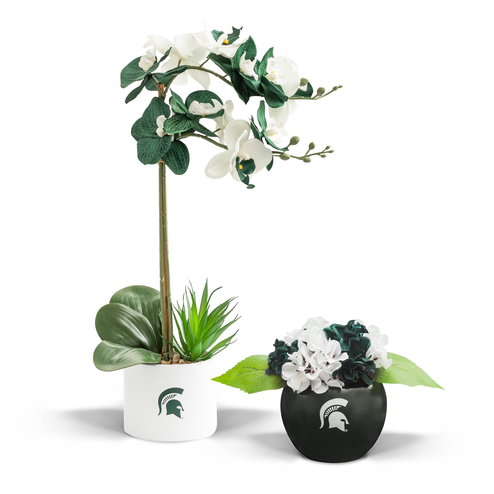 MSU Fan Favorite (hydrangea+orchid)