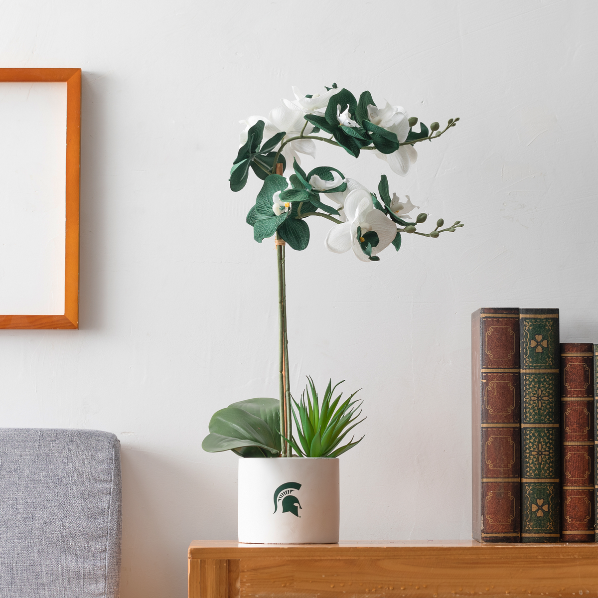 MSU Spartan Faux Orchid Plant