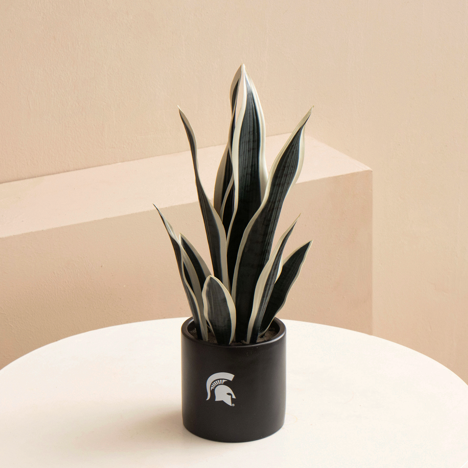 MSU Fan Favorite (snake+orchid)