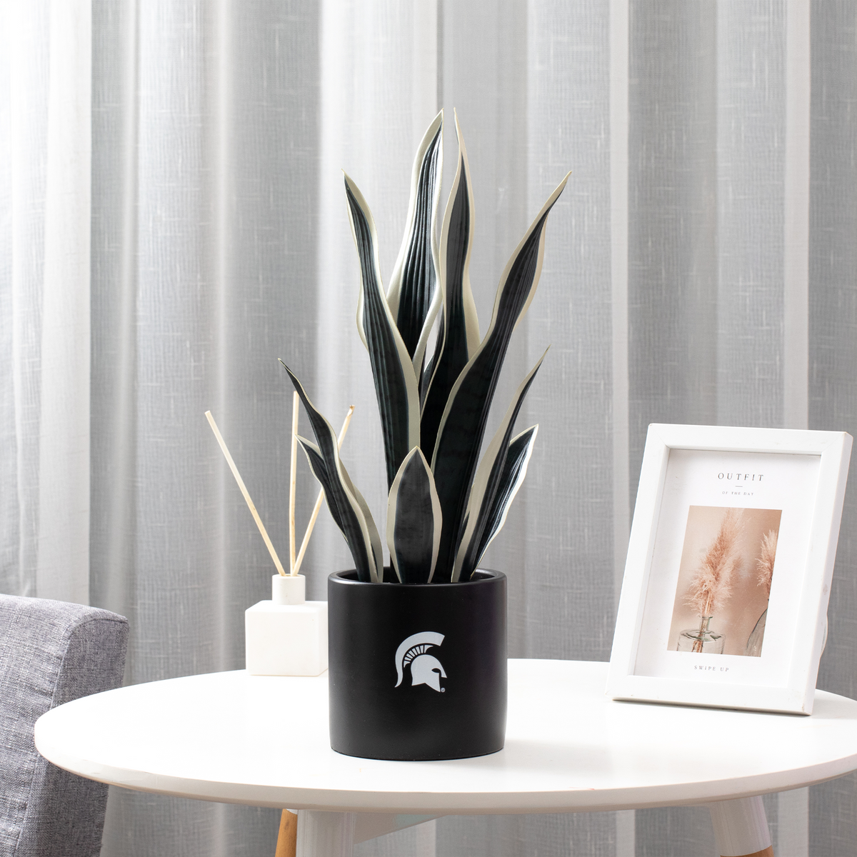 MSU Spartan Faux Snake Plant