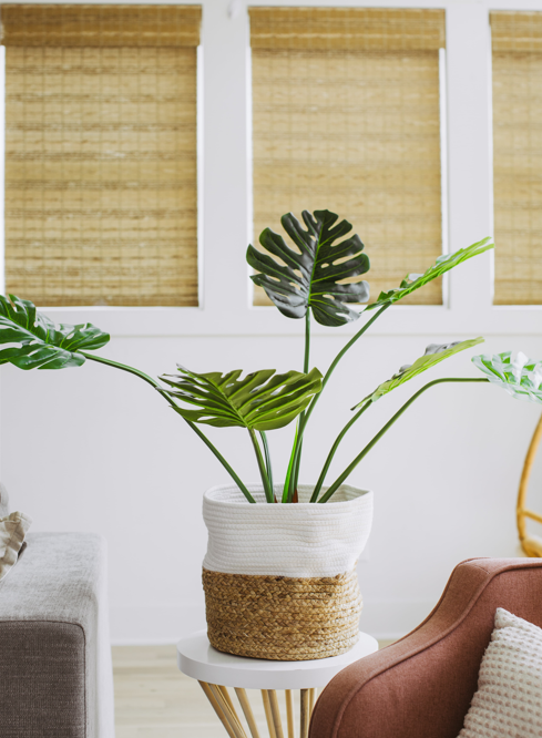 Artificial Monstera Plant 4 Feet