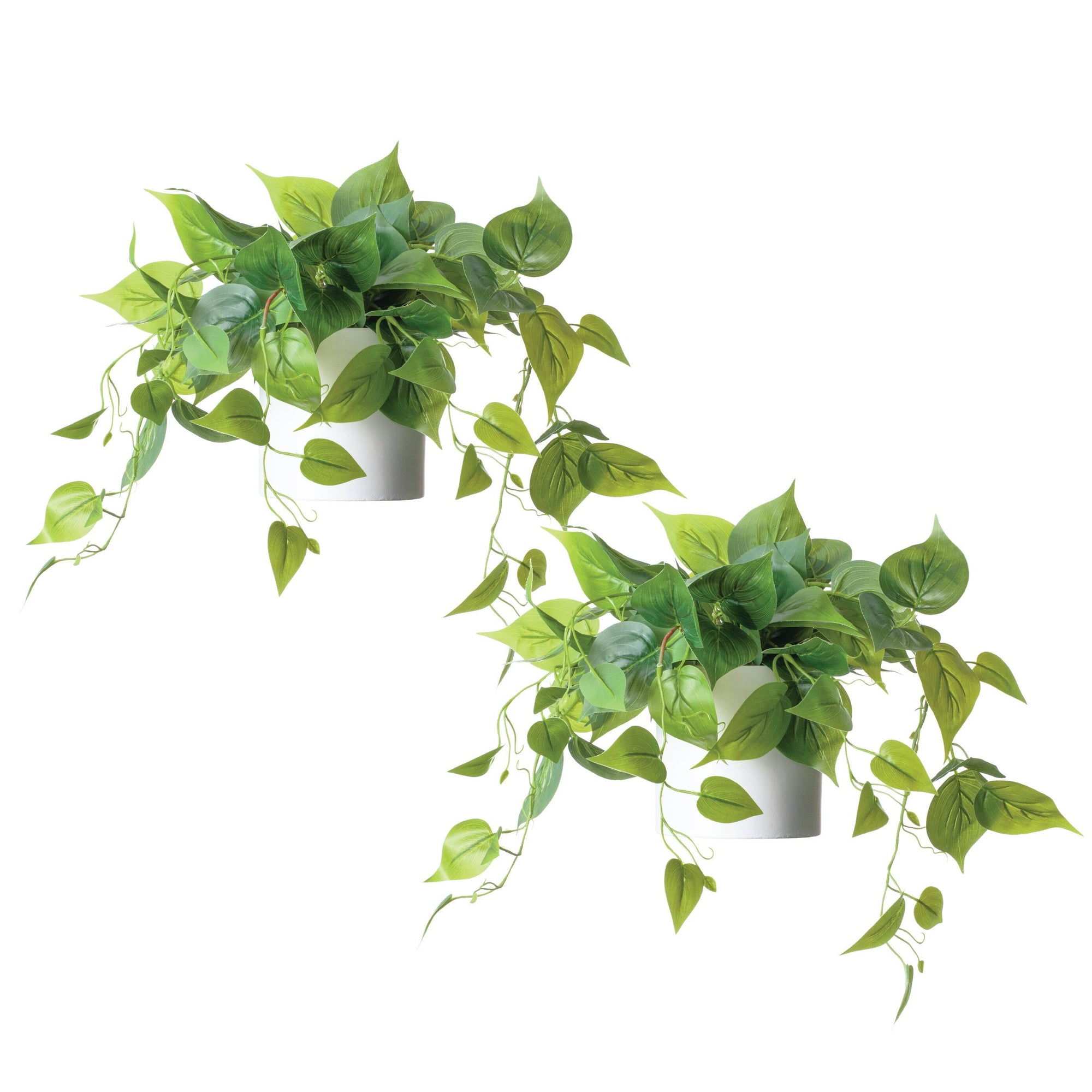 Artificial Pothos Plant in White Pot -2 Pack