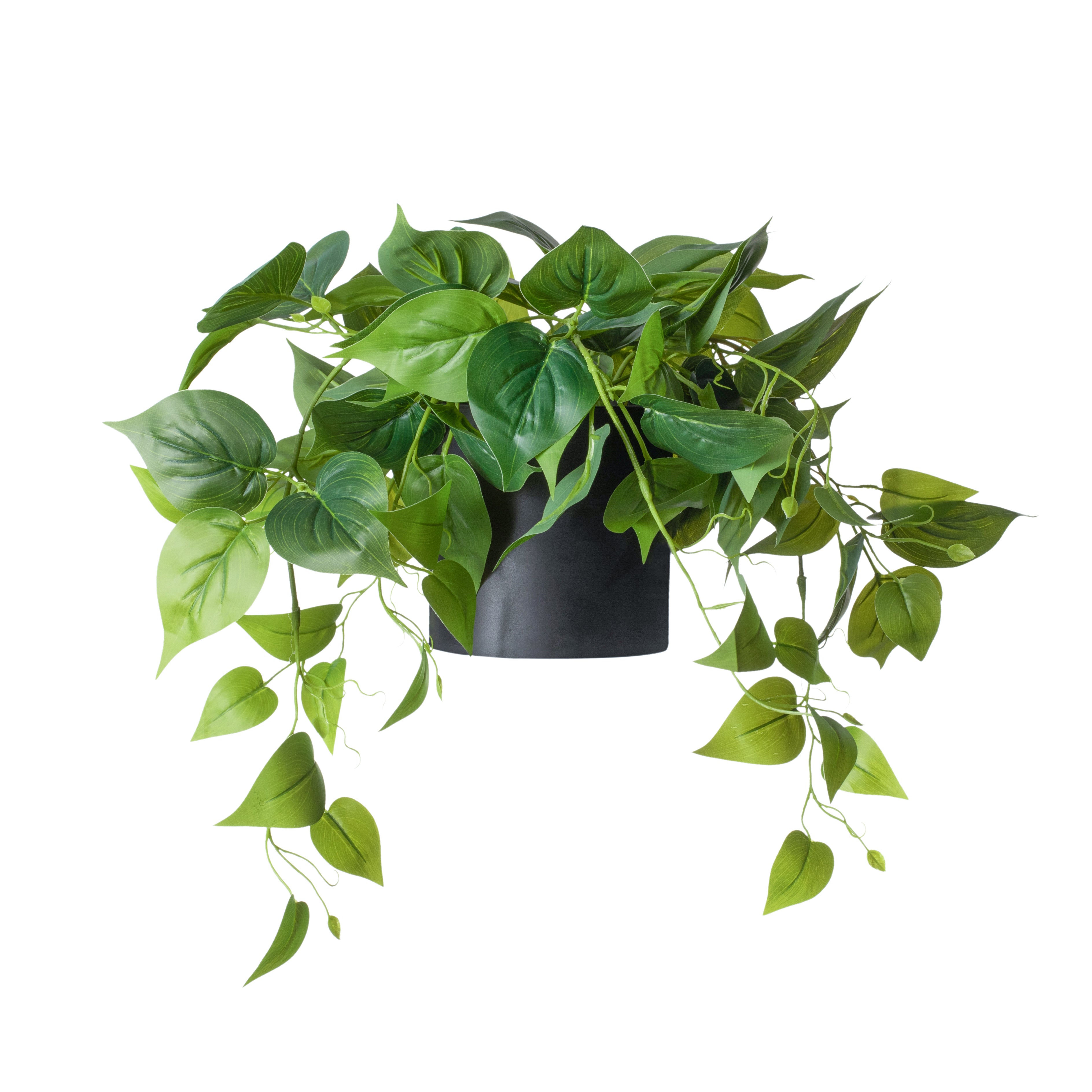 pothos plant black leaves Faux Pothos Table Plant in Black Pot