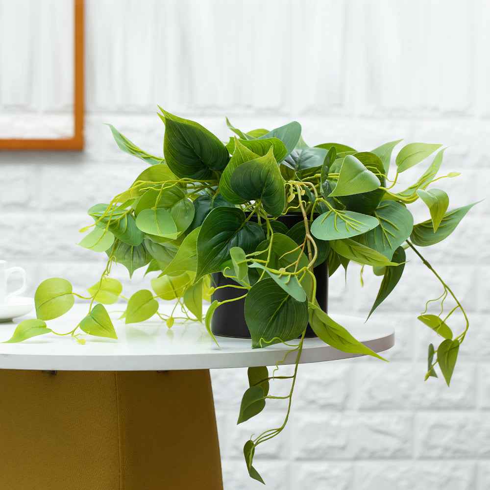 pothos black leaves Faux Pothos Table Plant in Black Pot