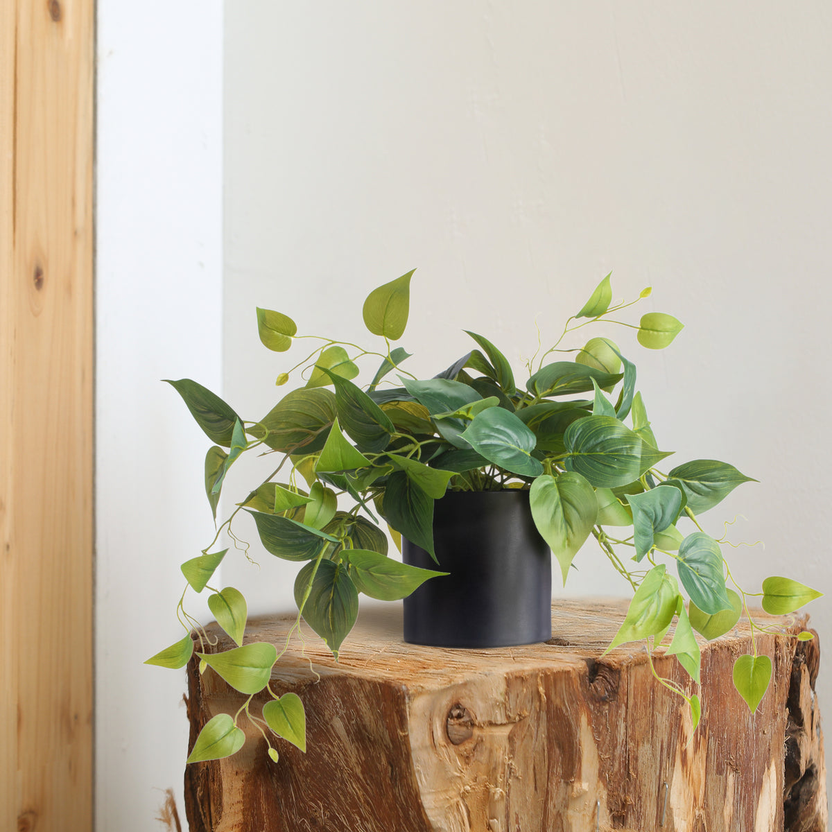 Artificial Pothos Plant in Black Pot