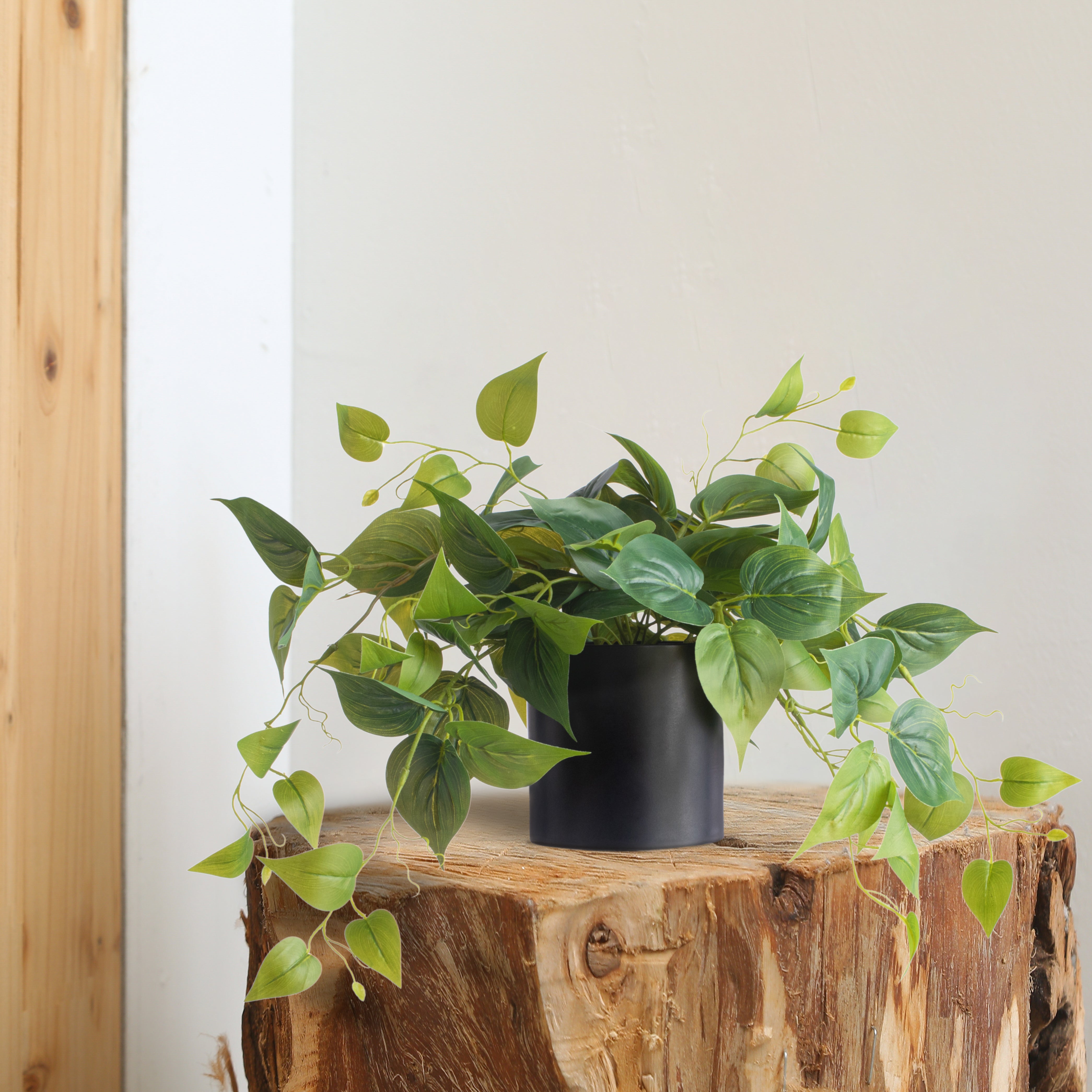 black pothos Faux Pothos Table Plant in Black Pot