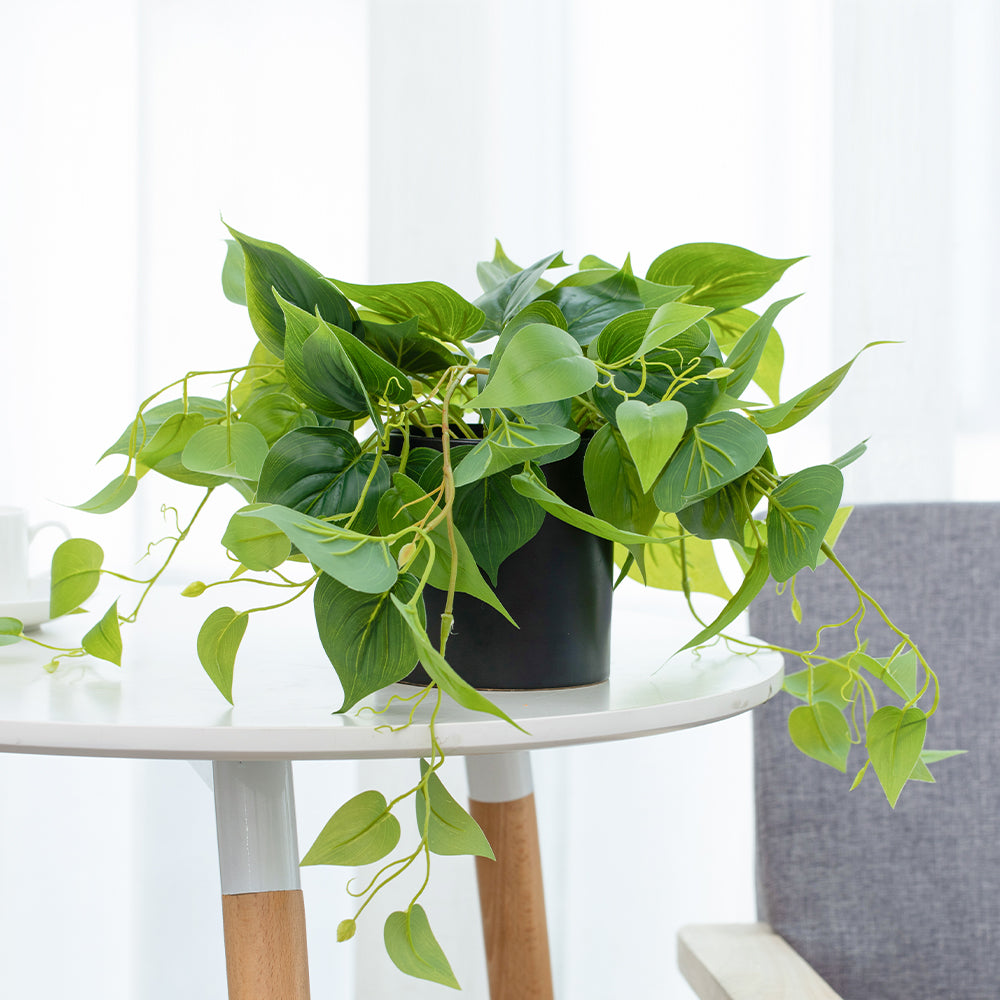 artificial pothos plant Faux Pothos Table Plant in Black Pot