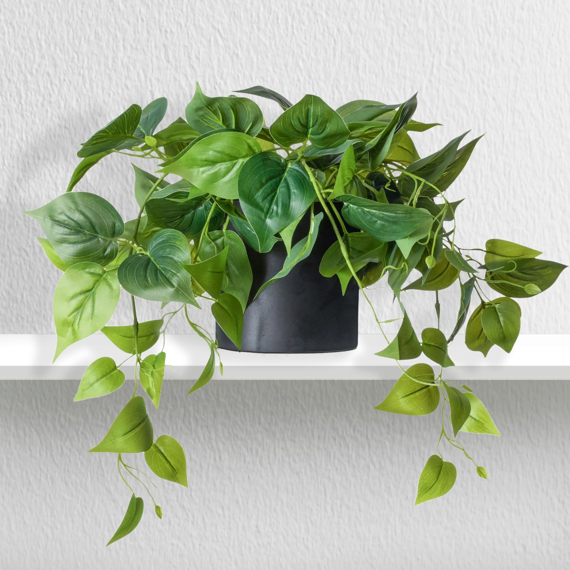 dark form pothos Faux Pothos Table Plant in Black Pot