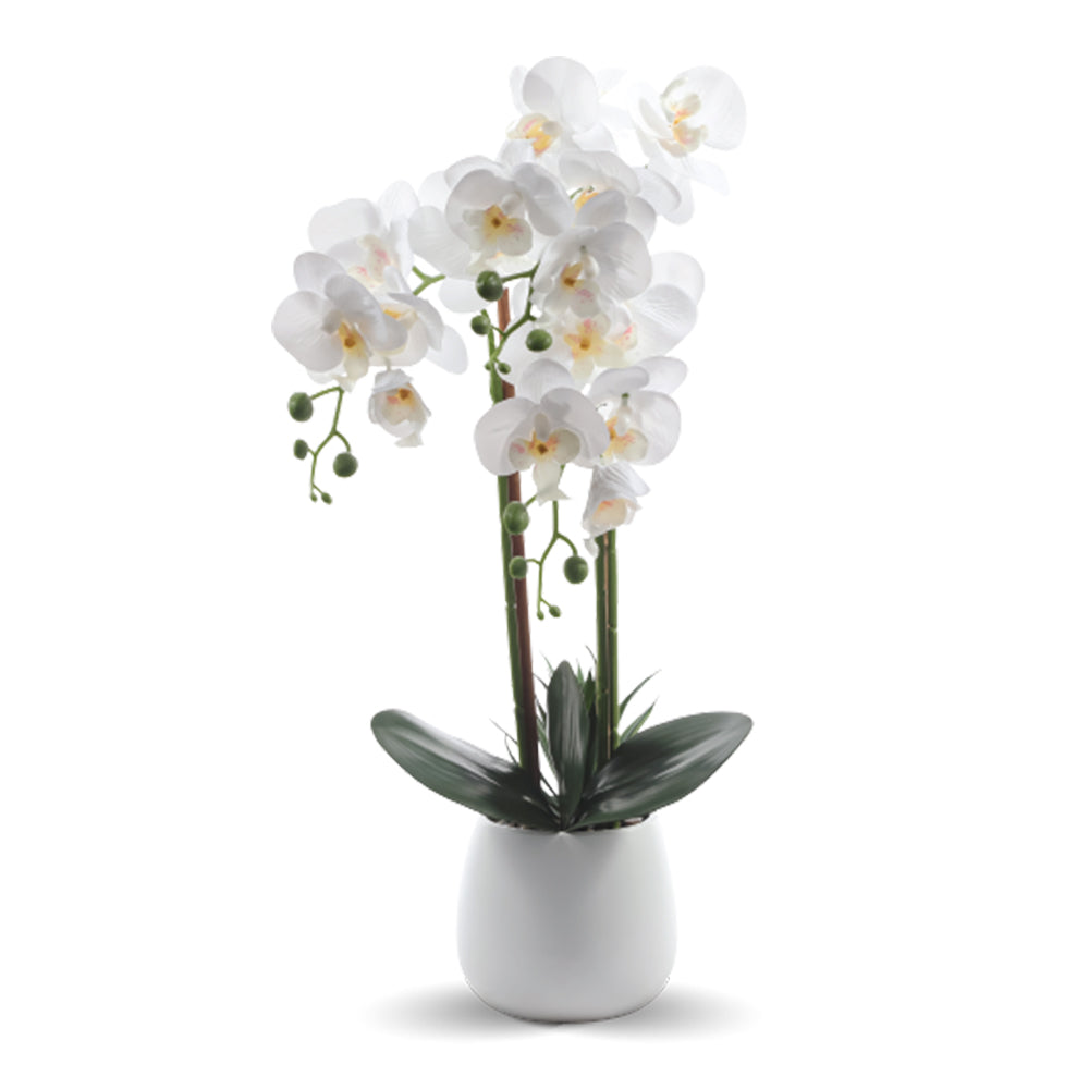 Faux White Orchid Flower in Ceramic Pot