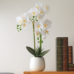Faux White Orchid Flower in Ceramic Pot
