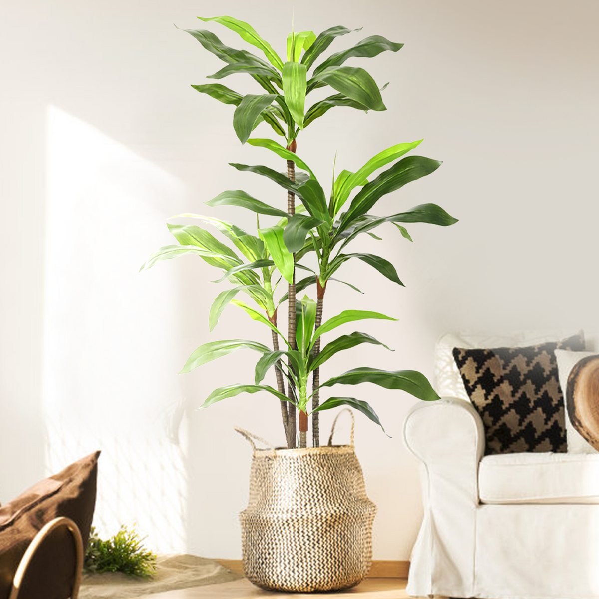 Fake Ficus Silk Tree and Dracaena Indoor Plant 5 Feet