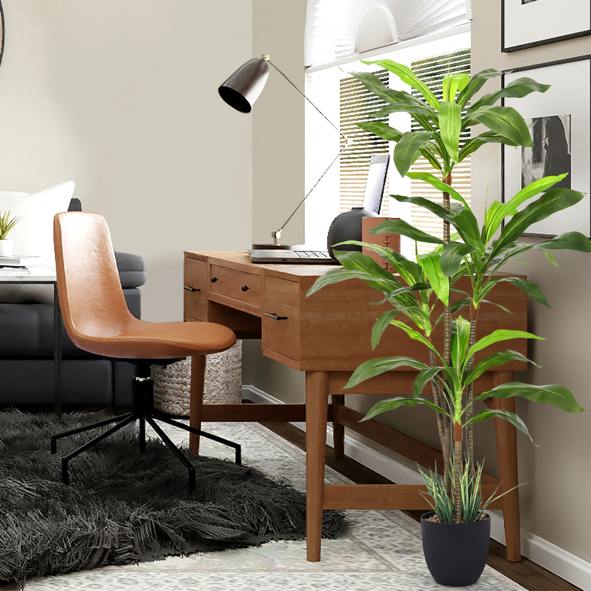 5 Ft. Dracaenea w/ Pot