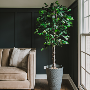 Fake Ficus Silk Tree and Dracaena Indoor Plant 5 Feet