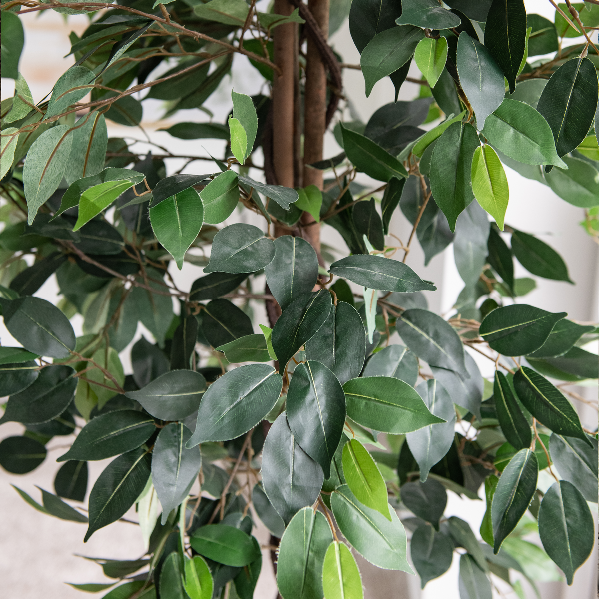 Artificial Ficus Silk Tree 5 Feet