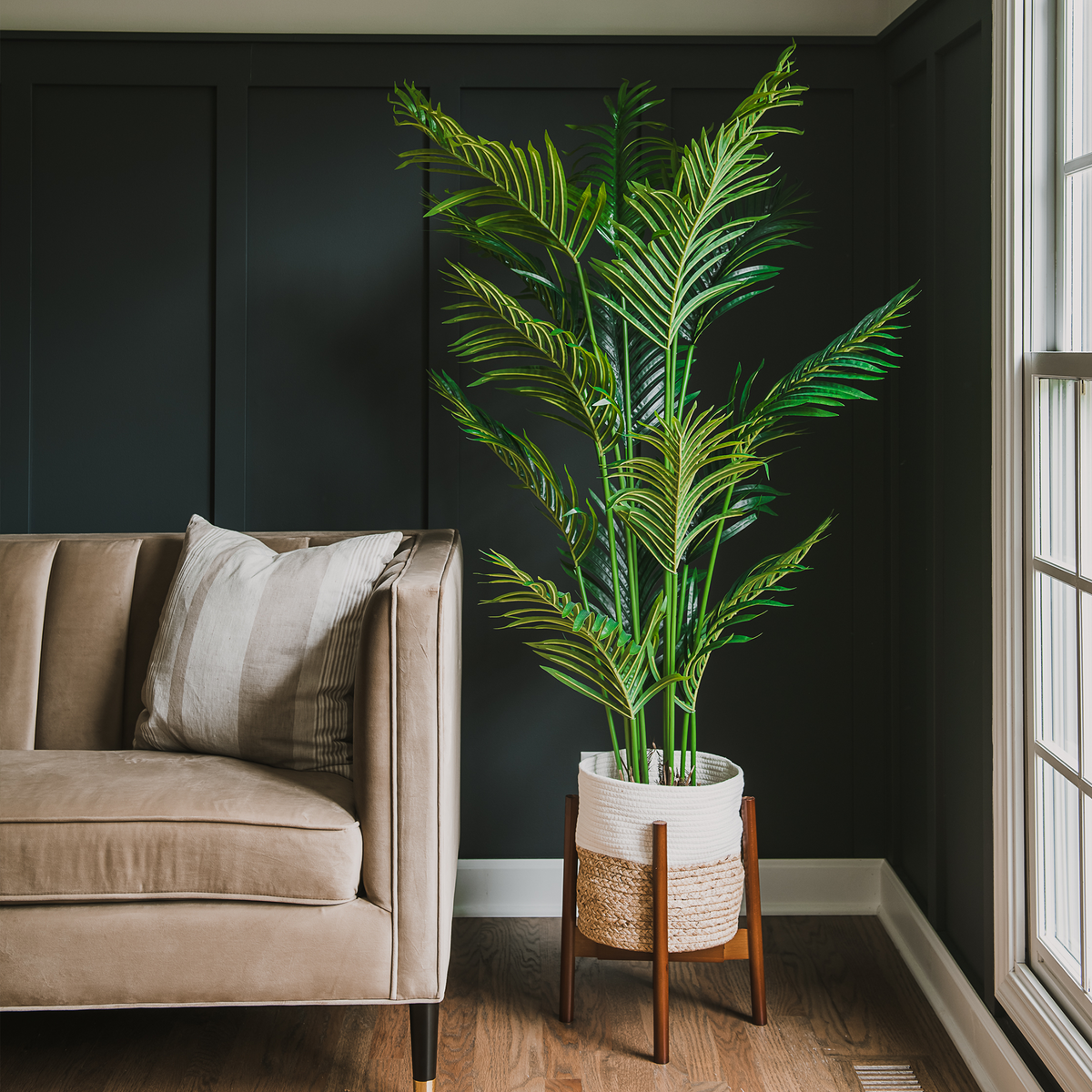 Fake Palm Tree and Ficus Silk Tree 5 Feet