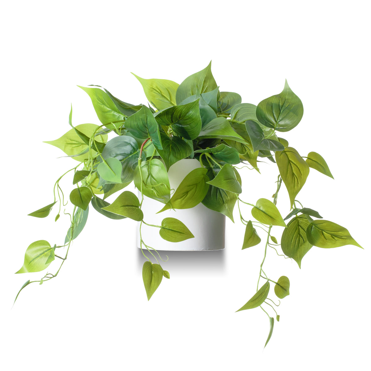 Artificial Pothos Plant in White Pot